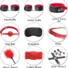 12 Pcs Complete BDSM with Paddle