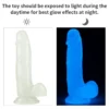 Lumino Play Dildo Lovetoy
