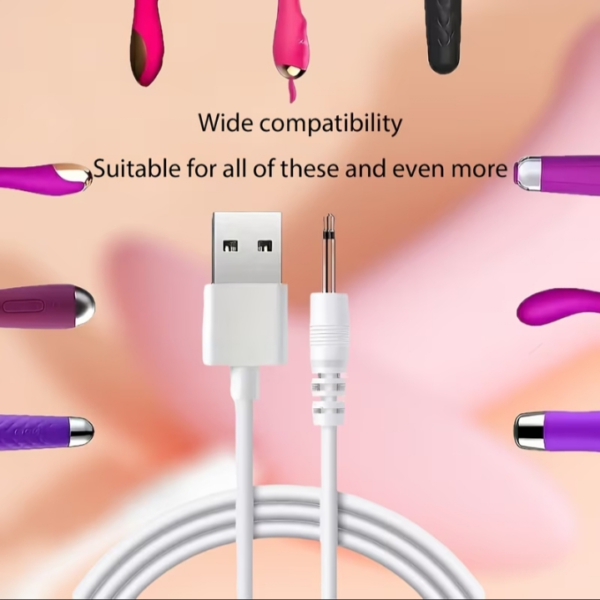 AV Wand Charging Cable